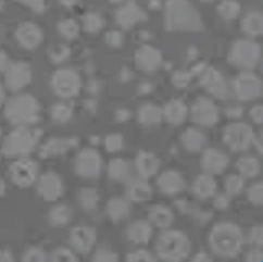 Equipamento inteligente de extrusão Sichuan Kunwei Langsheng Co., Ltd.